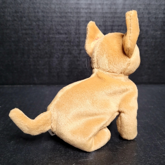 TY Beanie Babies Tiny The Chihuahua - Picture 3 of 11